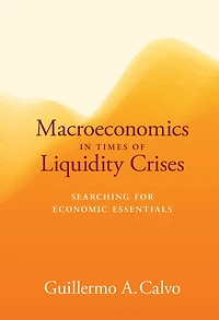 Macroeconomics Times of Liquidity Crises: Searching for Economic Essentials
