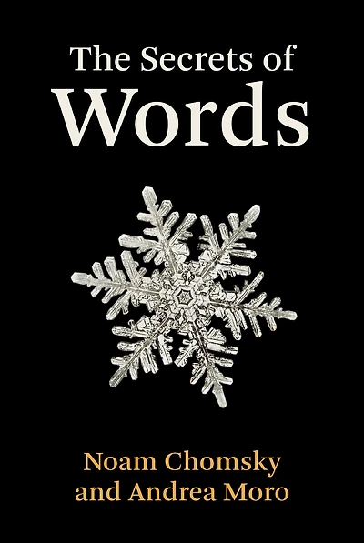The Secrets of Words