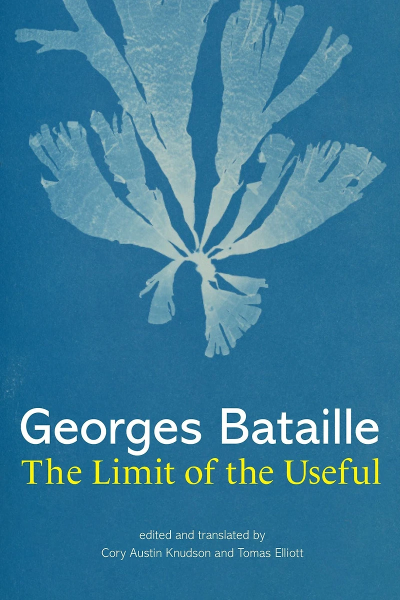 the Limit of Useful
