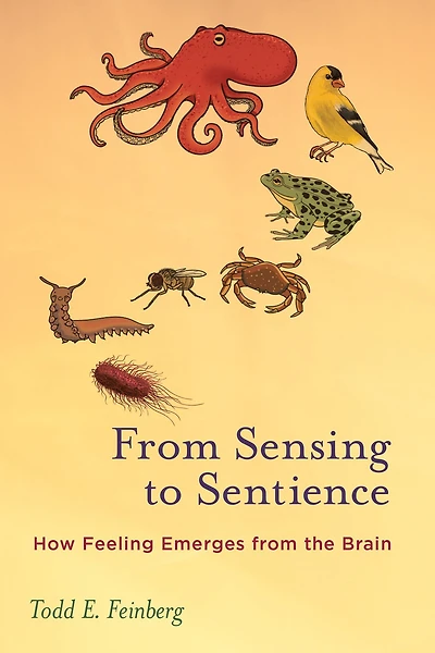 from Sensing to Sentience: How Feeling Emerges the Brain