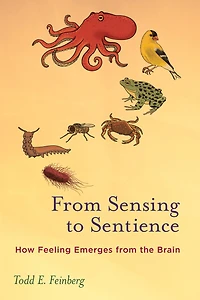 from Sensing to Sentience: How Feeling Emerges the Brain