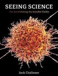 Seeing Science: The Art of Making the Invisible Visible