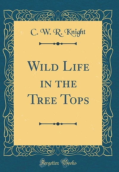Wild Life in the Tree Tops (Classic Reprint)