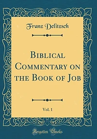Biblical Commentary on the Book of Job, Vol. 1 (Classic Reprint)