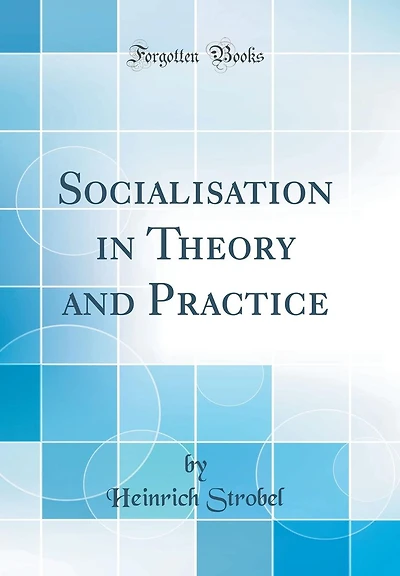 Socialisation Theory and Practice (Classic Reprint)