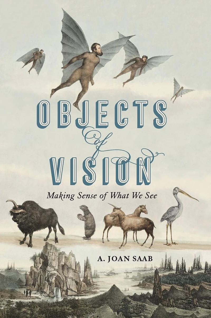 Objects of Vision: Making Sense What We See