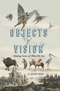 Objects of Vision: Making Sense What We See