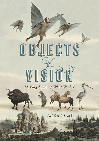 Objects of Vision: Making Sense What We See