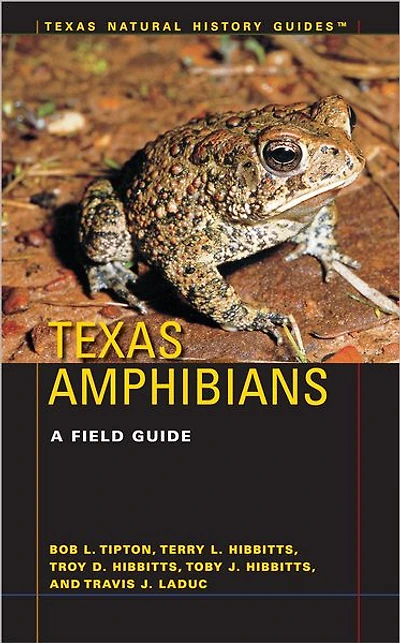 Texas Amphibians: A Field Guide