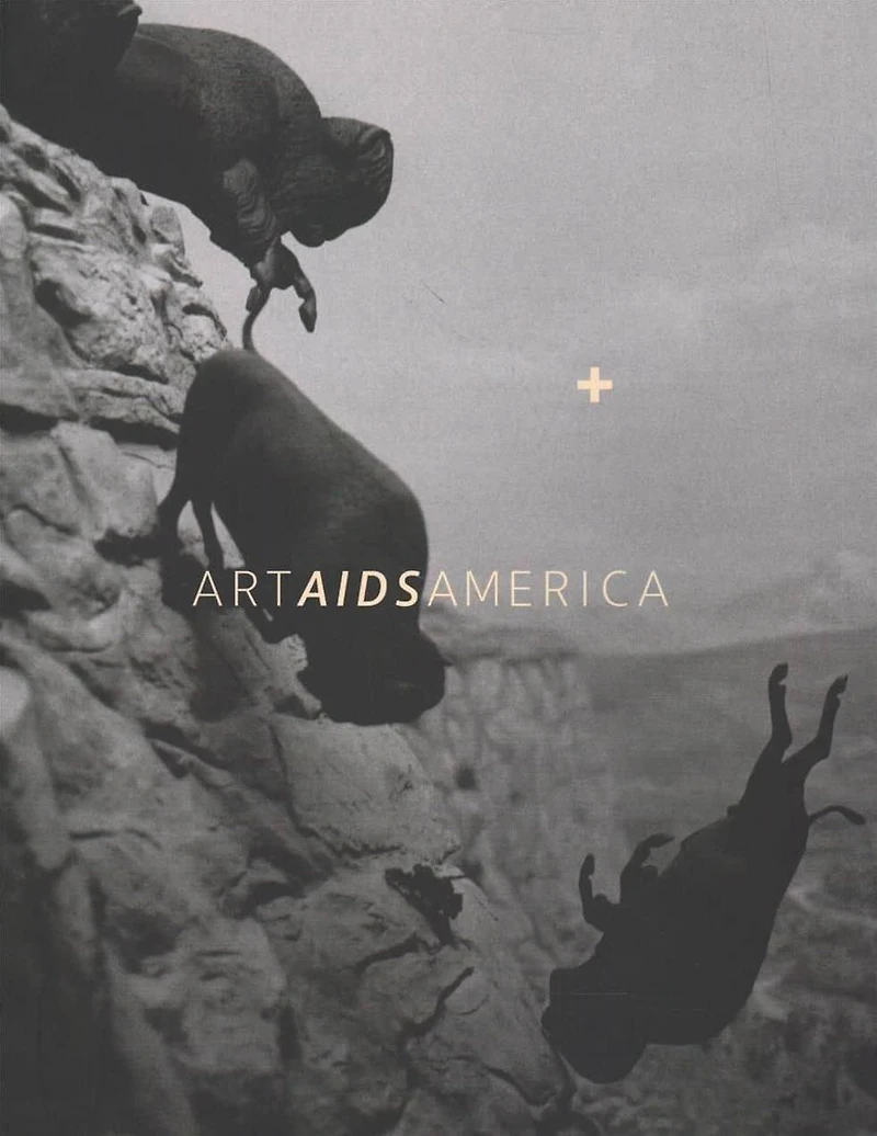 <b>Art AIDS America / Art AIDS America Chicago Boxed Set</b>