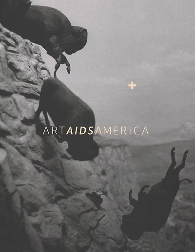 <b>Art AIDS America / Art AIDS America Chicago Boxed Set</b>