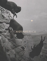 <b>Art AIDS America / Art AIDS America Chicago Boxed Set</b>