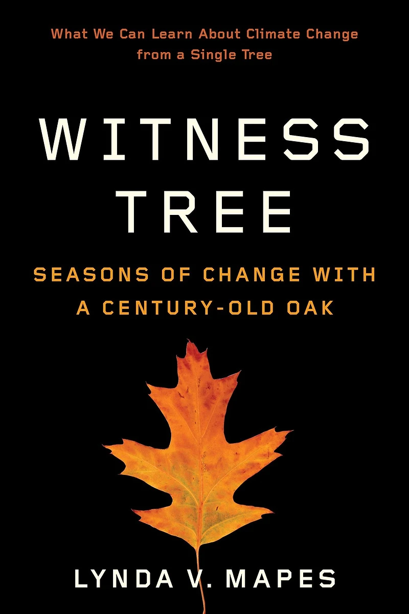 Witness Tree: Seasons of Change with a Century-Old Oak