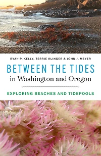 Between the Tides Washington and Oregon: Exploring Beaches Tidepools