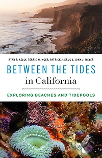 Between the Tides California: Exploring Beaches and Tidepools