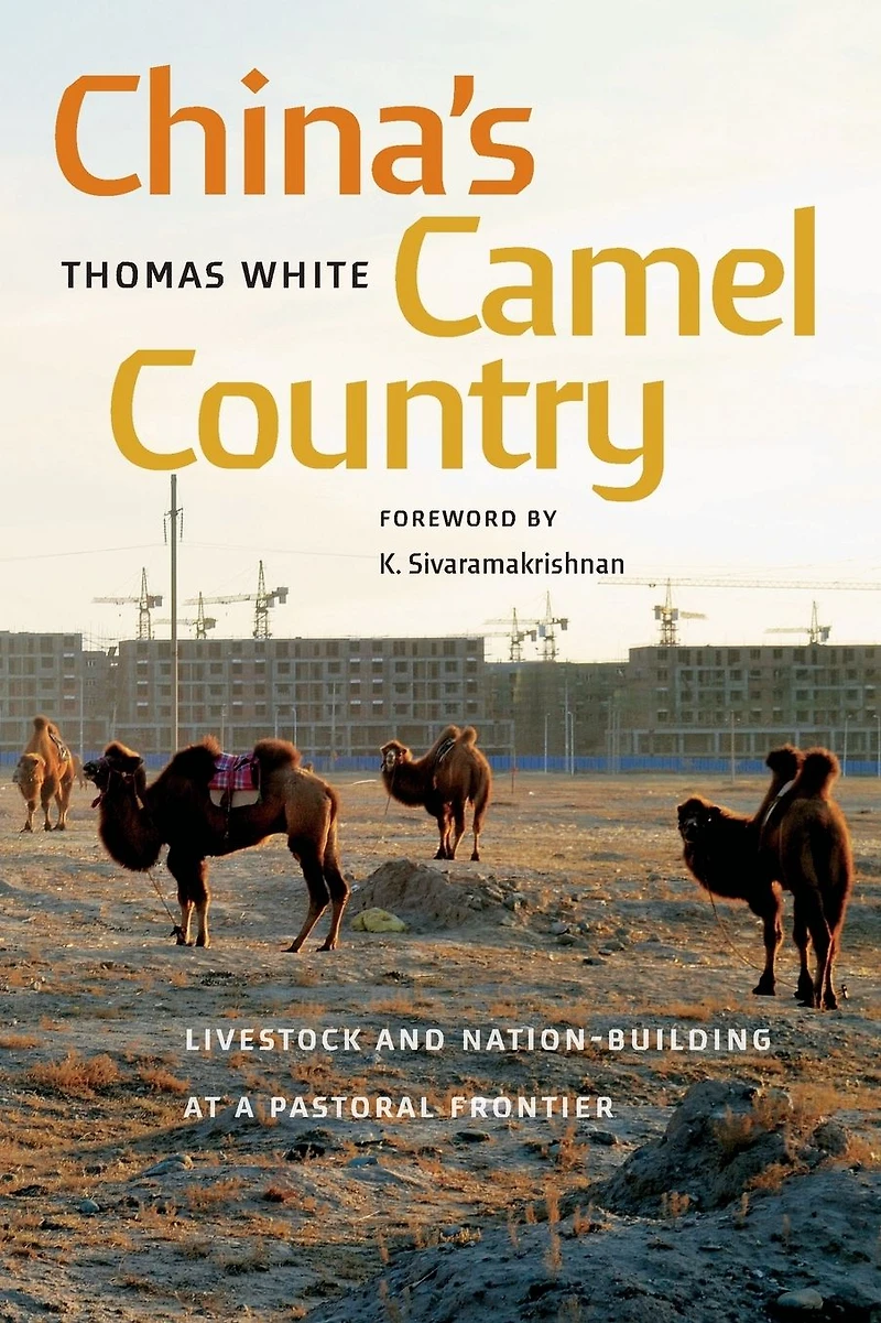 China's Camel Country: Livestock and Nation-Building at a Pastoral Frontier
