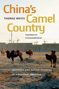 China's Camel Country: Livestock and Nation-Building at a Pastoral Frontier