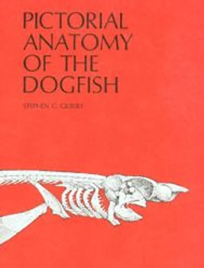 Pictorial Anatomy of the Dogfish