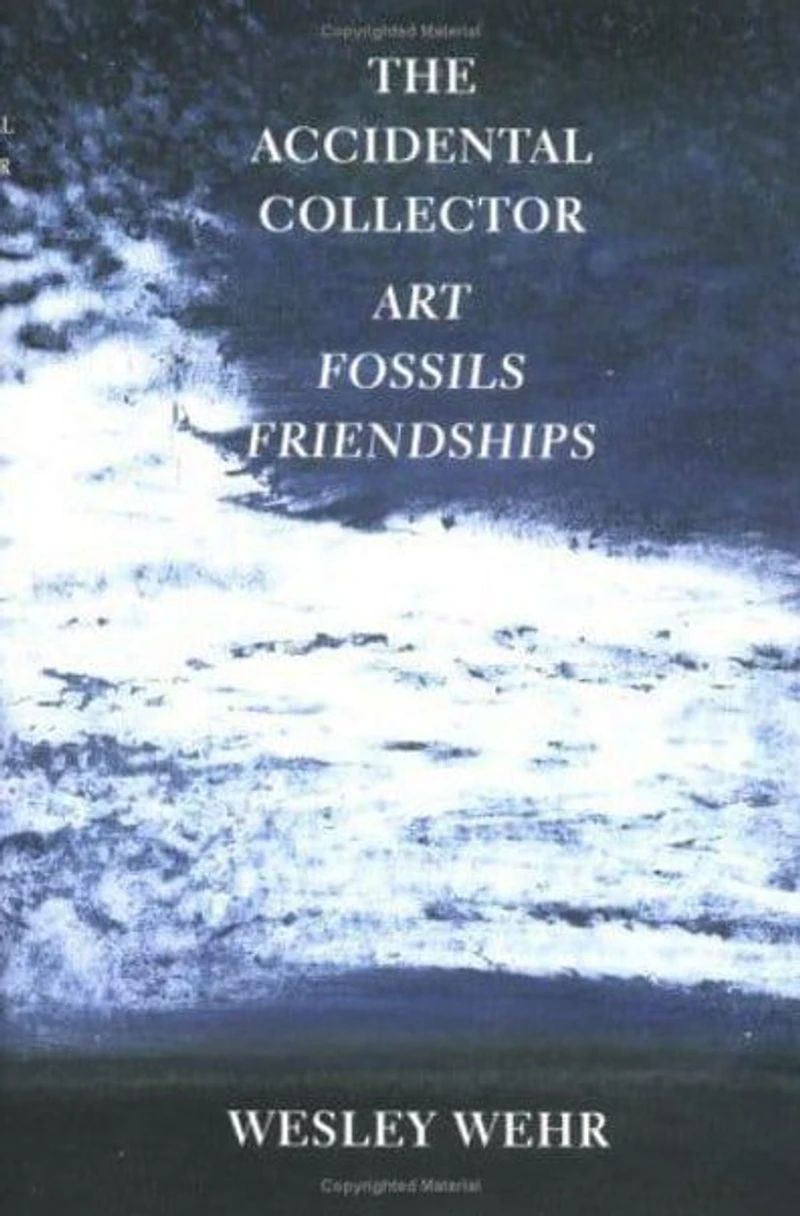 The Accidental Collector: Art, Fossils, and Friendships