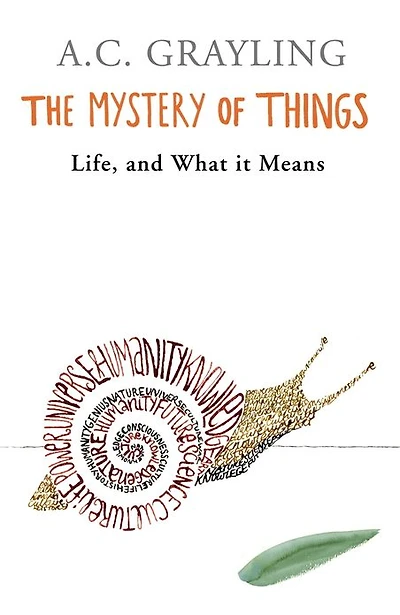 The Mystery of Things