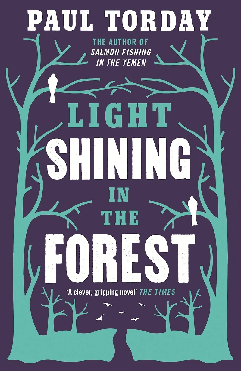 Light Shining the Forest