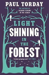 Light Shining the Forest