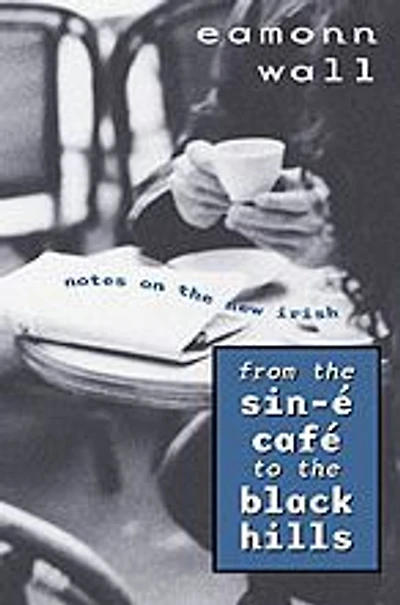 From the Sin-E Cafe to Black Hills: Notes on the New Irish