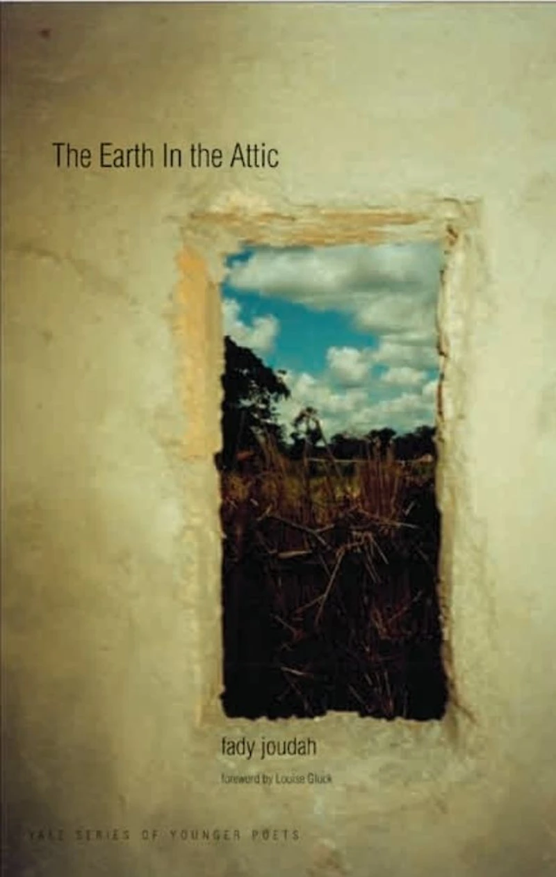 The Earth in the Attic