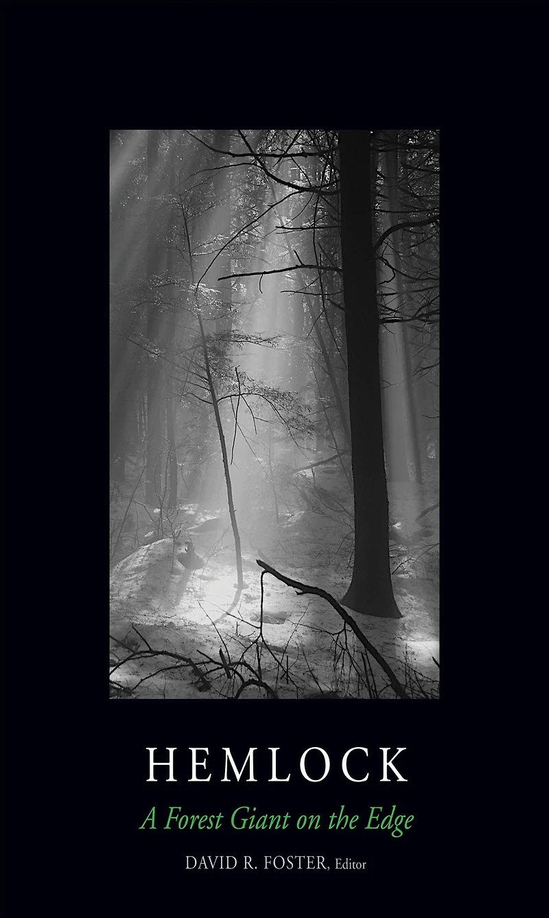 Hemlock: A Forest Giant on the Edge
