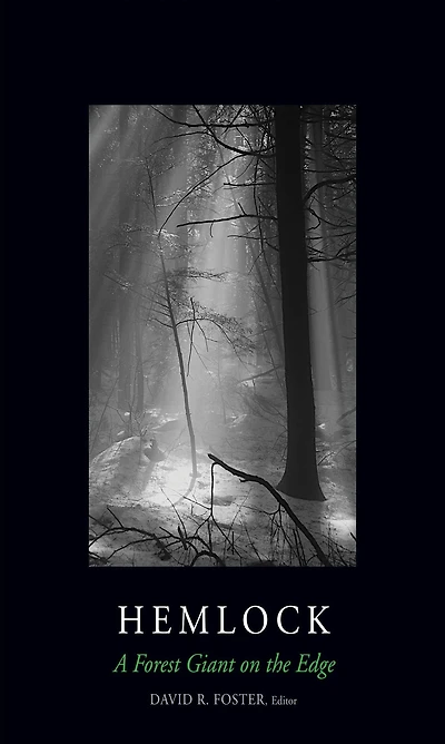 Hemlock: A Forest Giant on the Edge