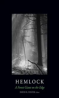 Hemlock: A Forest Giant on the Edge