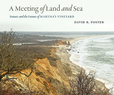A Meeting of Land and Sea: Nature and the Future of Martha's Vineyard