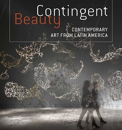 Contingent Beauty: Contemporary Art from Latin America