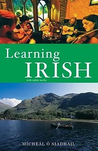 Learning Irish: Text with Online Media