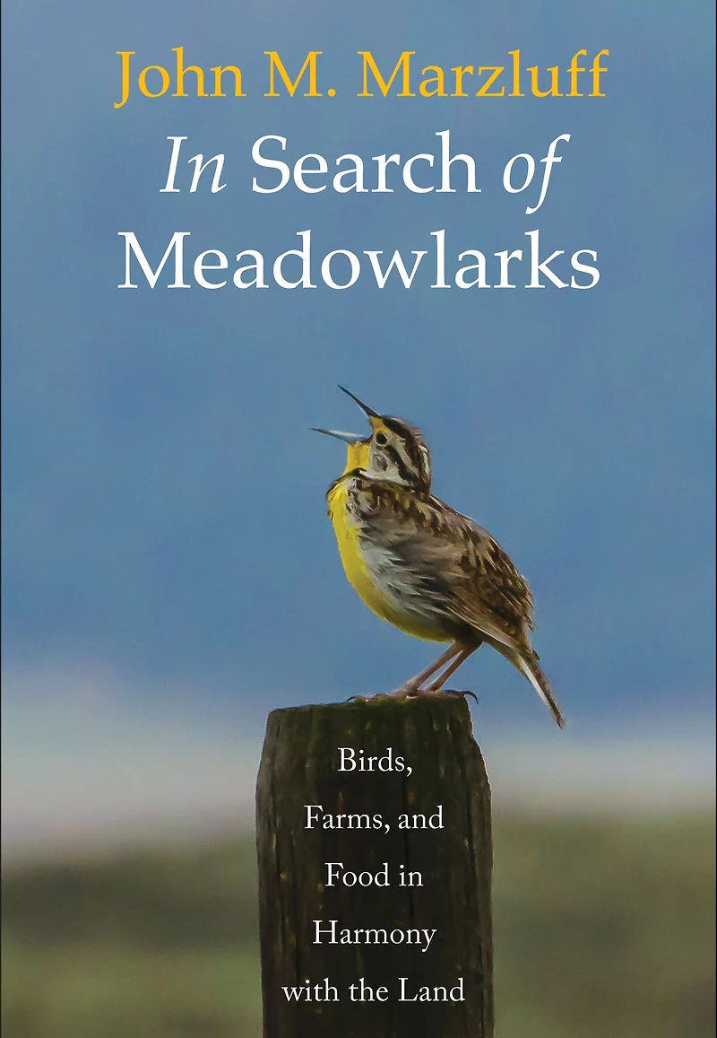 Search of Meadowlarks: Birds, Farms, and Food Harmony with the Land