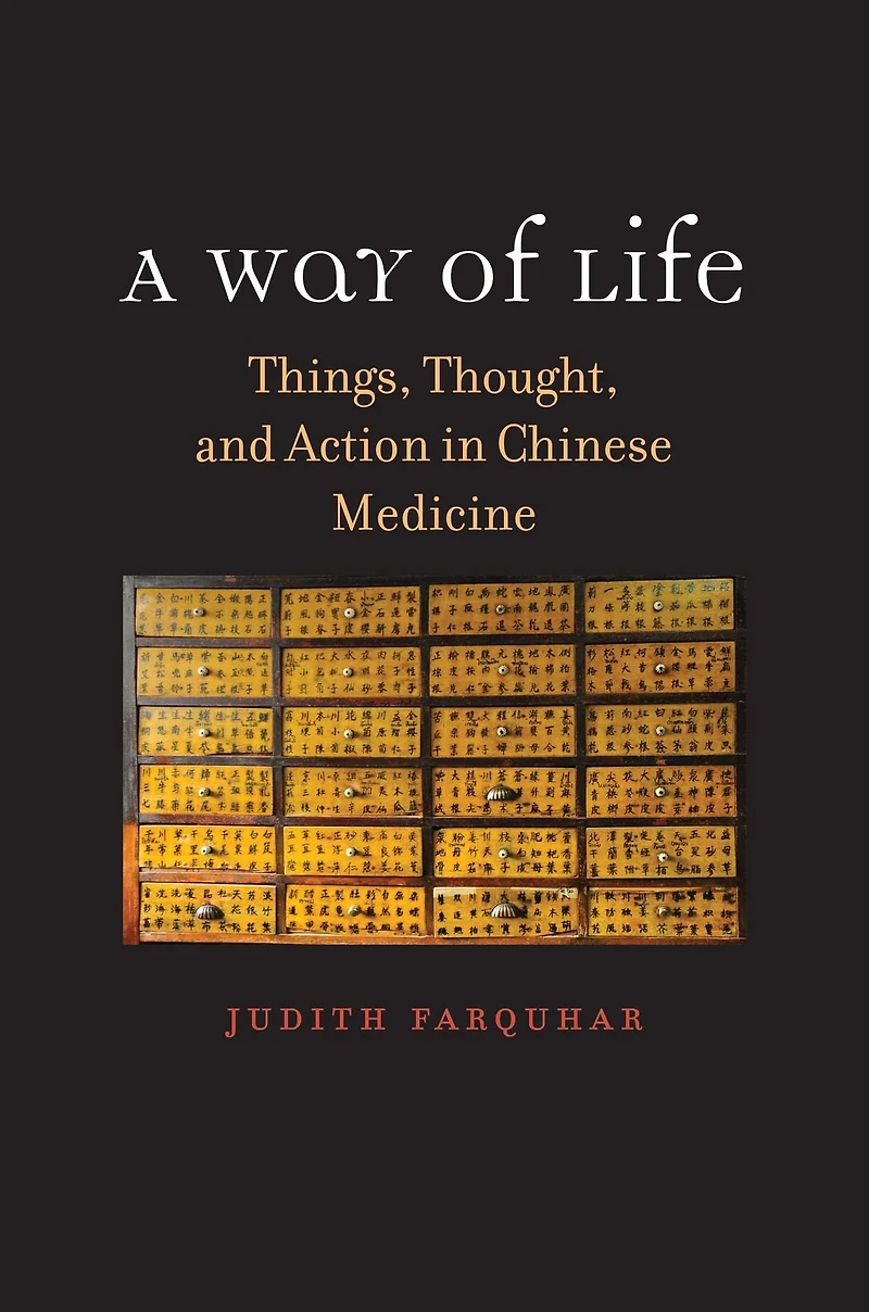 A Way of Life: Things, Thought, and Action Chinese Medicine