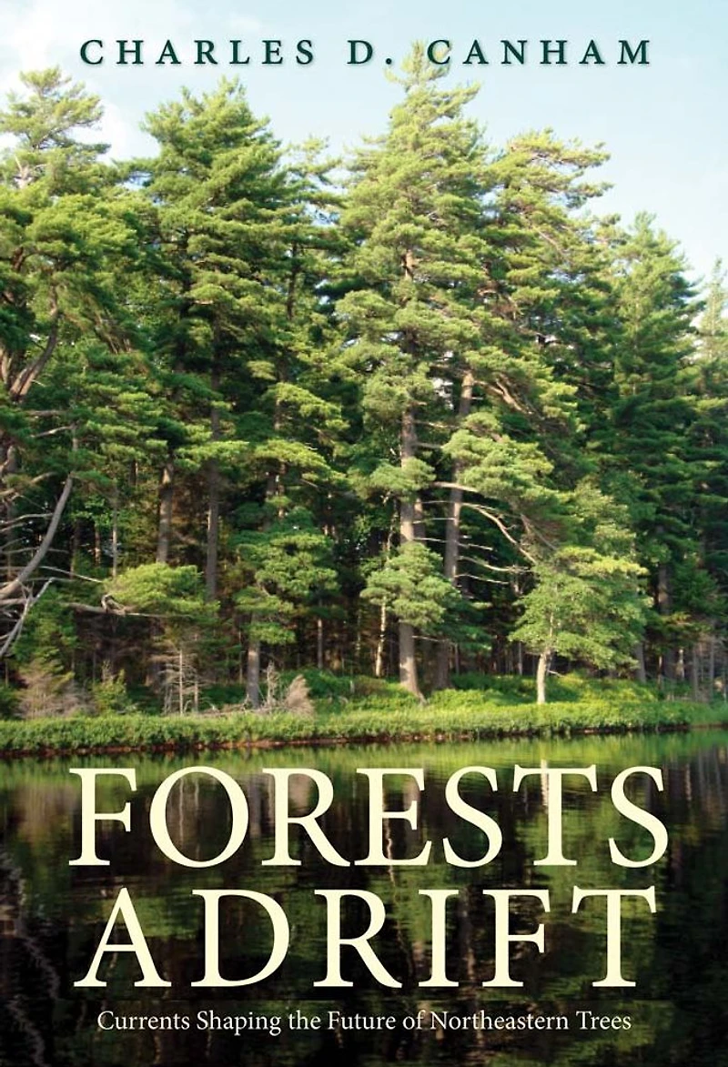 Forests Adrift: Currents Shaping the Future of Northeastern Trees