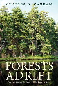Forests Adrift: Currents Shaping the Future of Northeastern Trees