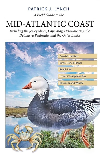 A Field Guide to the Mid-Atlantic Coast: Including the Jersey Shore, Cape May, Delaware Bay, the Delmarva Peninsula, and the Outer Banks