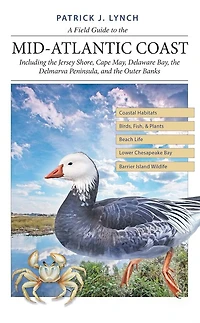 A Field Guide to the Mid-Atlantic Coast: Including the Jersey Shore, Cape May, Delaware Bay, the Delmarva Peninsula, and the Outer Banks