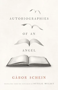 Autobiographies of an Angel: A Novel