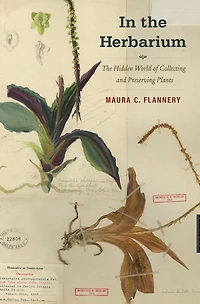 The Herbarium: Hidden World of Collecting and Preserving Plants