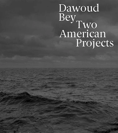 Dawoud Bey: Two American Projects