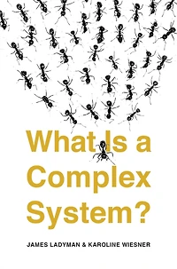 What Is a Complex System?
