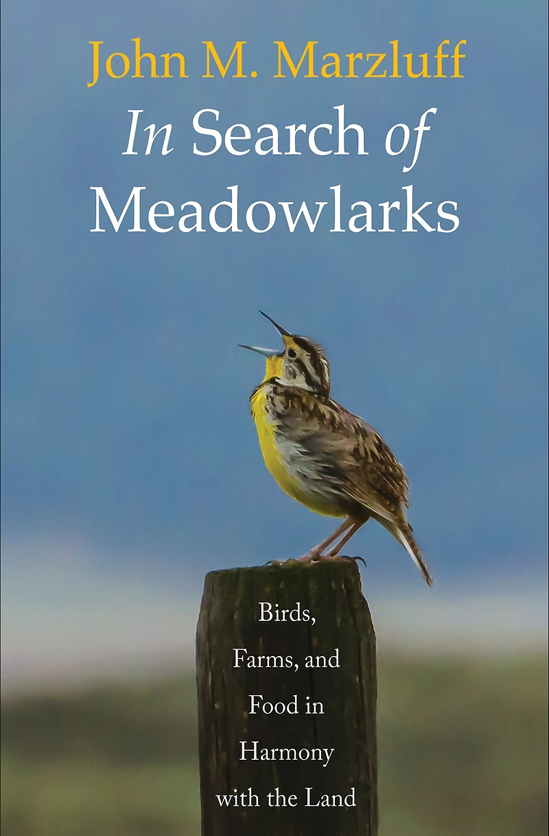 Search of Meadowlarks: Birds, Farms, and Food Harmony with the Land