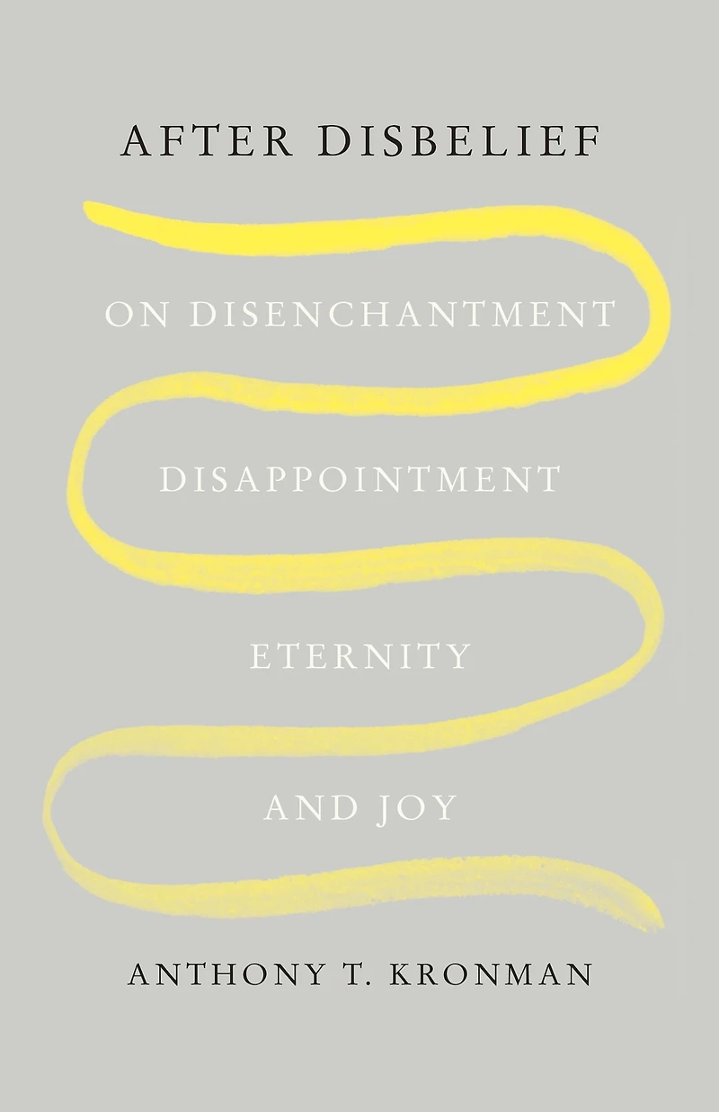 After Disbelief: On Disenchantment, Disappointment, Eternity, and Joy