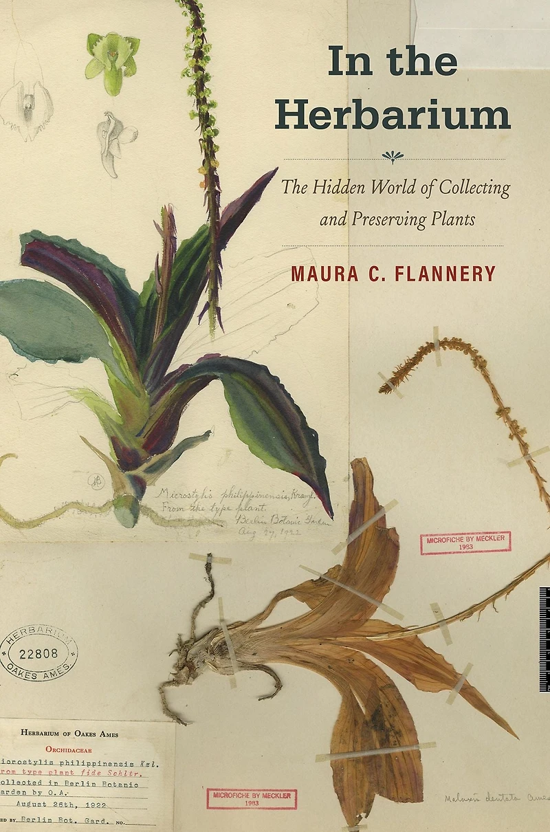 The Herbarium: Hidden World of Collecting and Preserving Plants