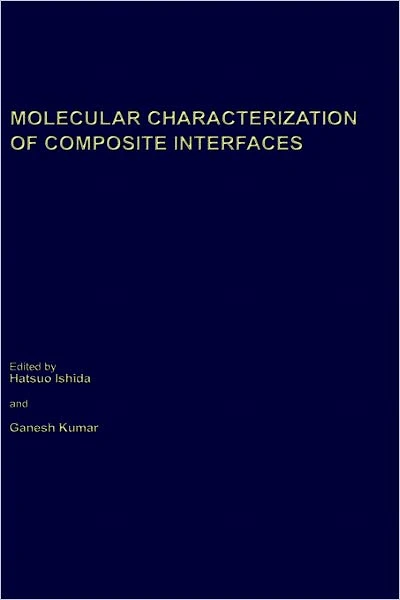 Molecular Characterization of Composite Interfaces