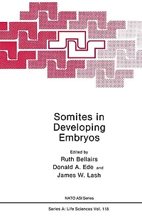 Somites Developing Embryos