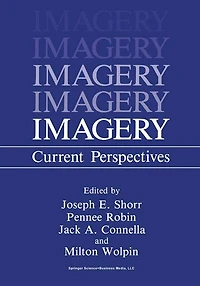 Imagery: Current Perspectives